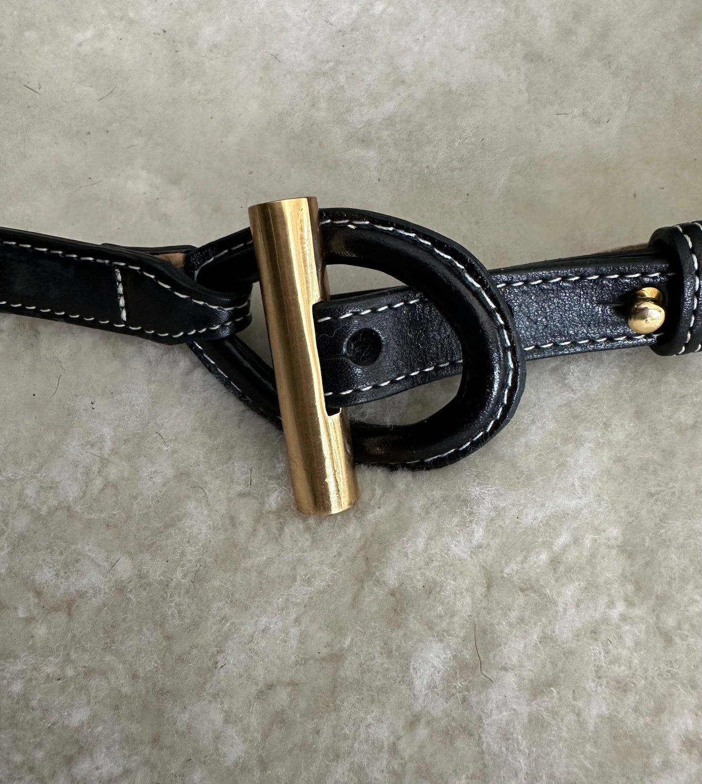 Cinturón Forastero 101