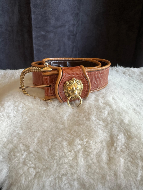 Cinturón Forastero 103